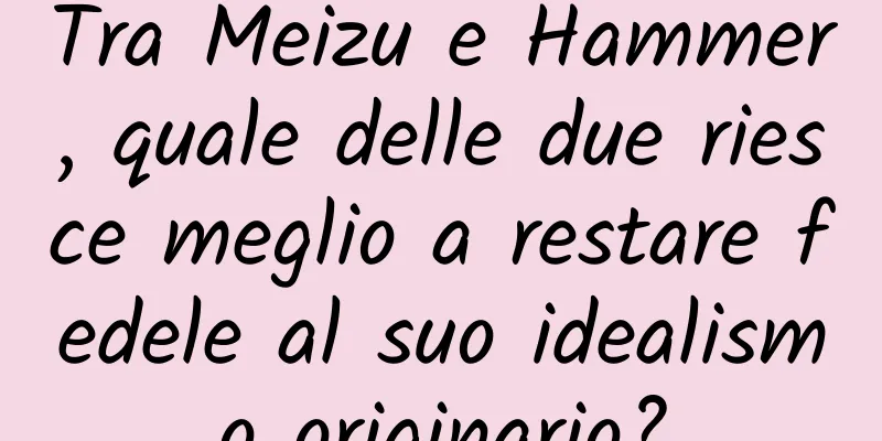 Tra Meizu e Hammer, quale delle due riesce meglio a restare fedele al suo idealismo originario?