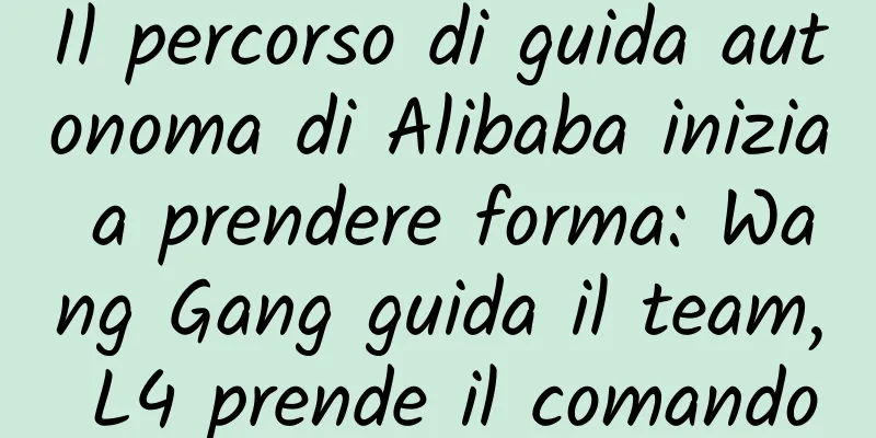 Il percorso di guida autonoma di Alibaba inizia a prendere forma: Wang Gang guida il team, L4 prende il comando