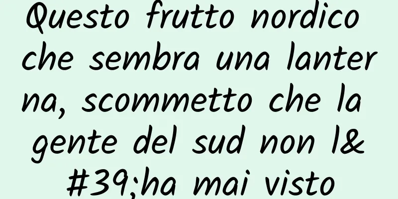 Questo frutto nordico che sembra una lanterna, scommetto che la gente del sud non l'ha mai visto