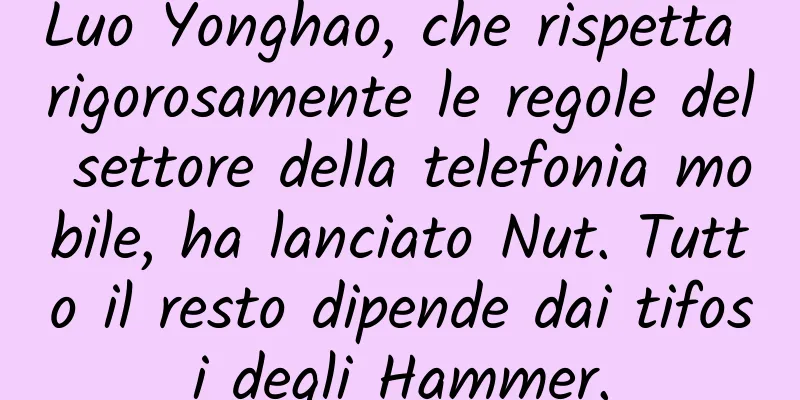 Luo Yonghao, che rispetta rigorosamente le regole del settore della telefonia mobile, ha lanciato Nut. Tutto il resto dipende dai tifosi degli Hammer.
