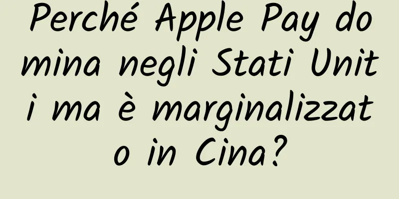 Perché Apple Pay domina negli Stati Uniti ma è marginalizzato in Cina?