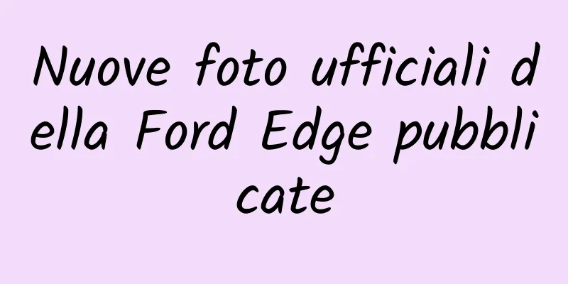 Nuove foto ufficiali della Ford Edge pubblicate