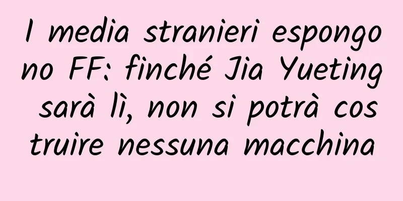 I media stranieri espongono FF: finché Jia Yueting sarà lì, non si potrà costruire nessuna macchina