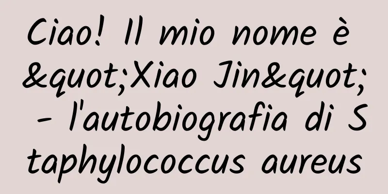 Ciao! Il mio nome è "Xiao Jin" - l'autobiografia di Staphylococcus aureus