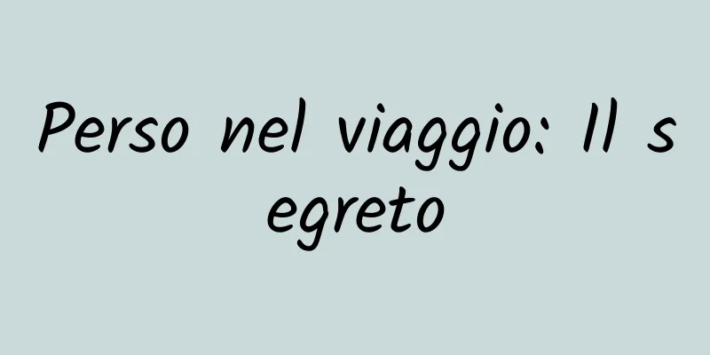 Perso nel viaggio: Il segreto