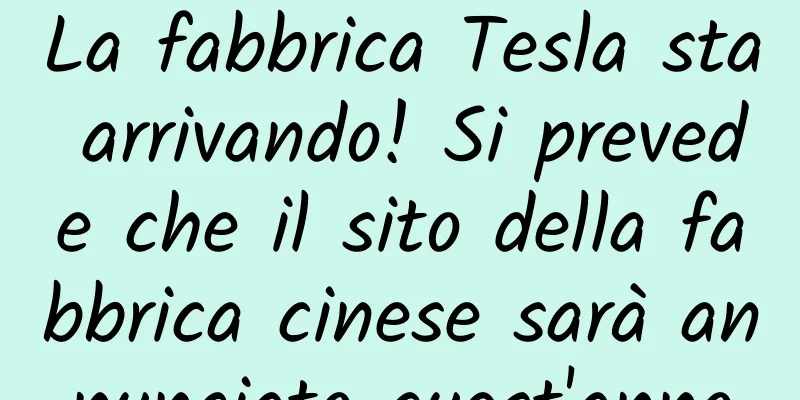 La fabbrica Tesla sta arrivando! Si prevede che il sito della fabbrica cinese sarà annunciato quest'anno