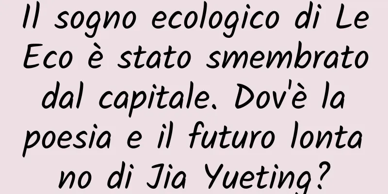 Il sogno ecologico di LeEco è stato smembrato dal capitale. Dov'è la poesia e il futuro lontano di Jia Yueting?
