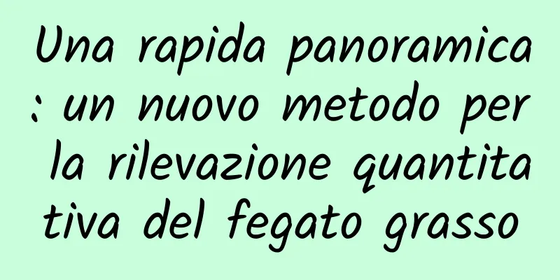 Una rapida panoramica: un nuovo metodo per la rilevazione quantitativa del fegato grasso