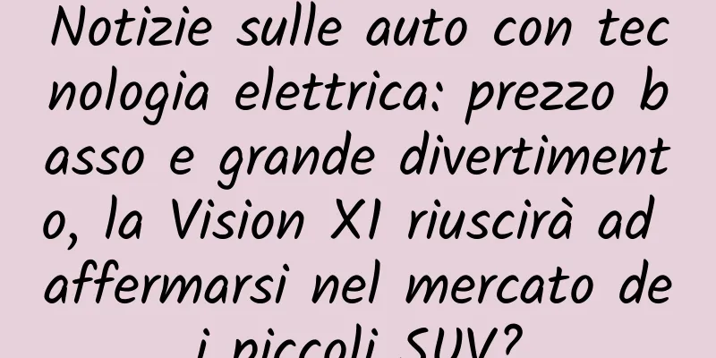 Notizie sulle auto con tecnologia elettrica: prezzo basso e grande divertimento, la Vision X1 riuscirà ad affermarsi nel mercato dei piccoli SUV?