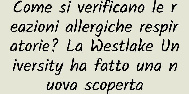 Come si verificano le reazioni allergiche respiratorie? La Westlake University ha fatto una nuova scoperta