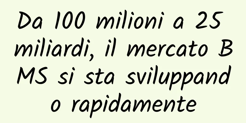 Da 100 milioni a 25 miliardi, il mercato BMS si sta sviluppando rapidamente