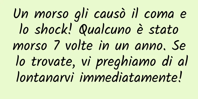 Un morso gli causò il coma e lo shock! Qualcuno è stato morso 7 volte in un anno. Se lo trovate, vi preghiamo di allontanarvi immediatamente!