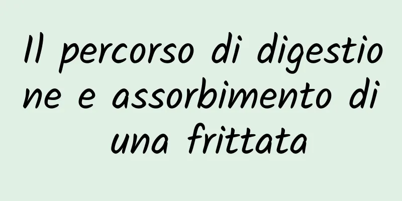 Il percorso di digestione e assorbimento di una frittata
