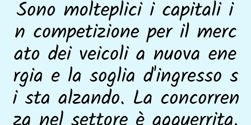 Sono molteplici i capitali in competizione per il mercato dei veicoli a nuova energia e la soglia d'ingresso si sta alzando. La concorrenza nel settore è agguerrita.
