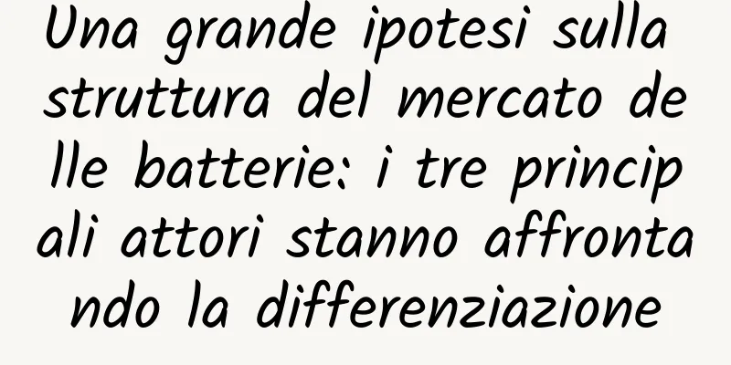 Una grande ipotesi sulla struttura del mercato delle batterie: i tre principali attori stanno affrontando la differenziazione