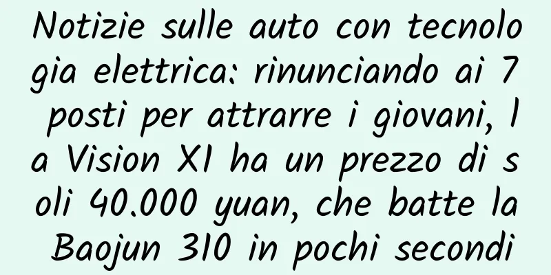 Notizie sulle auto con tecnologia elettrica: rinunciando ai 7 posti per attrarre i giovani, la Vision X1 ha un prezzo di soli 40.000 yuan, che batte la Baojun 310 in pochi secondi