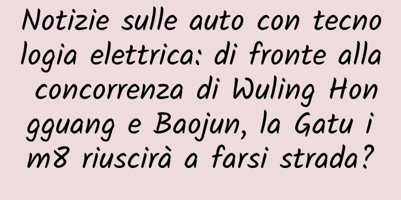 Notizie sulle auto con tecnologia elettrica: di fronte alla concorrenza di Wuling Hongguang e Baojun, la Gatu im8 riuscirà a farsi strada?