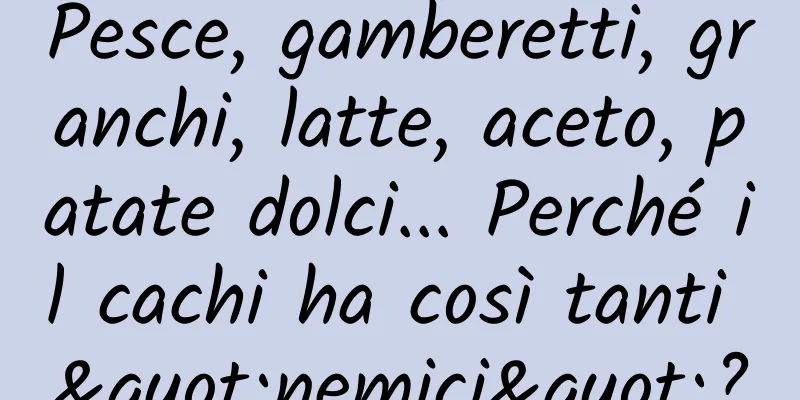 Pesce, gamberetti, granchi, latte, aceto, patate dolci... Perché il cachi ha così tanti "nemici"?
