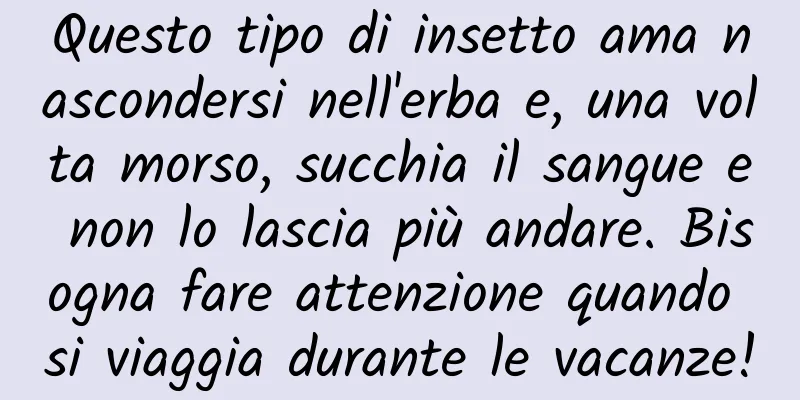 Questo tipo di insetto ama nascondersi nell'erba e, una volta morso, succhia il sangue e non lo lascia più andare. Bisogna fare attenzione quando si viaggia durante le vacanze!