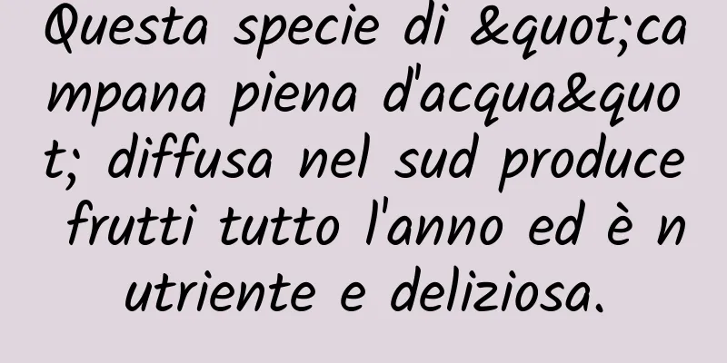 Questa specie di "campana piena d'acqua" diffusa nel sud produce frutti tutto l'anno ed è nutriente e deliziosa.