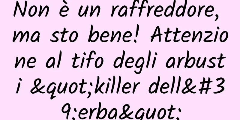 Non è un raffreddore, ma sto bene! Attenzione al tifo degli arbusti "killer dell'erba"