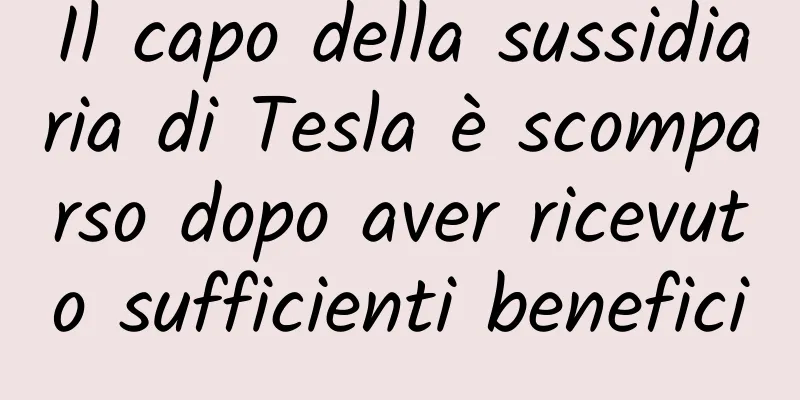 Il capo della sussidiaria di Tesla è scomparso dopo aver ricevuto sufficienti benefici