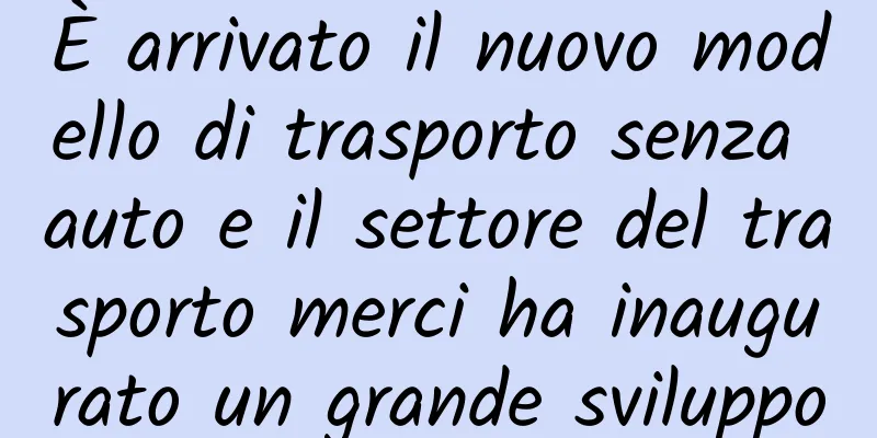 È arrivato il nuovo modello di trasporto senza auto e il settore del trasporto merci ha inaugurato un grande sviluppo