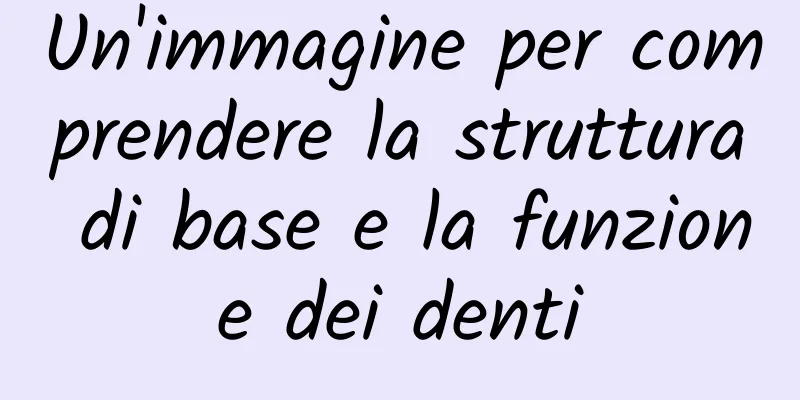Un'immagine per comprendere la struttura di base e la funzione dei denti