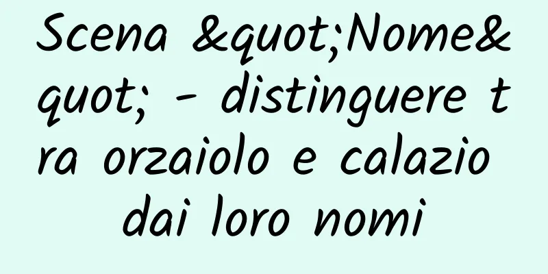 Scena "Nome" - distinguere tra orzaiolo e calazio dai loro nomi