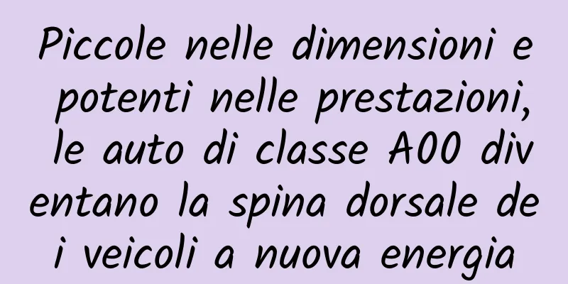 Piccole nelle dimensioni e potenti nelle prestazioni, le auto di classe A00 diventano la spina dorsale dei veicoli a nuova energia