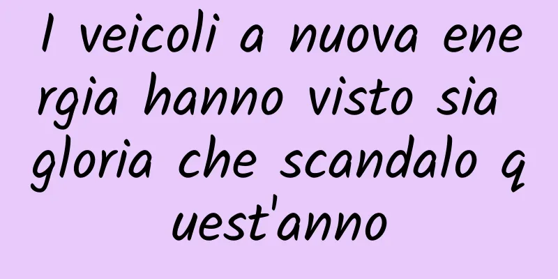 I veicoli a nuova energia hanno visto sia gloria che scandalo quest'anno