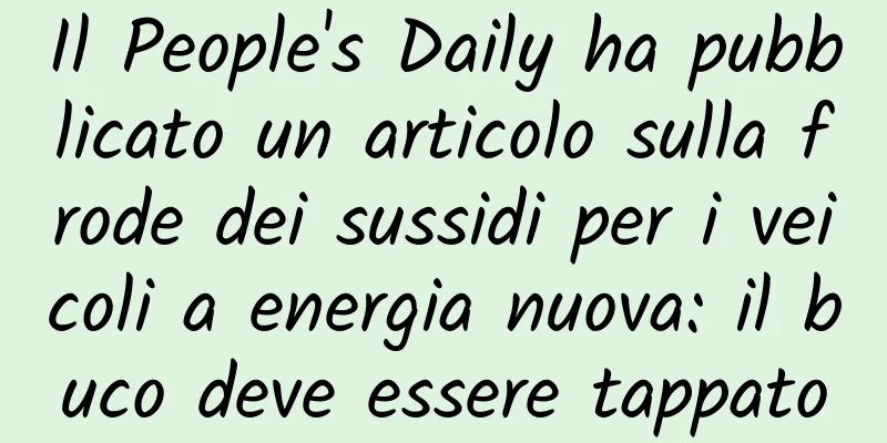 Il People's Daily ha pubblicato un articolo sulla frode dei sussidi per i veicoli a energia nuova: il buco deve essere tappato