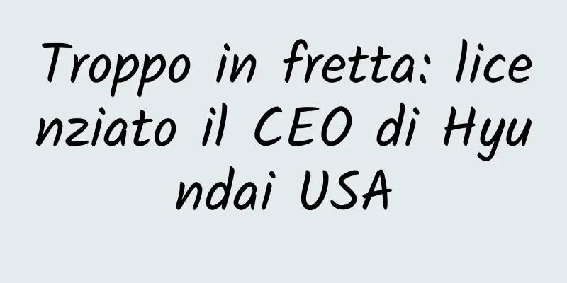 Troppo in fretta: licenziato il CEO di Hyundai USA