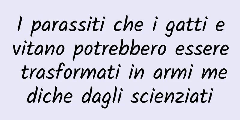 I parassiti che i gatti evitano potrebbero essere trasformati in armi mediche dagli scienziati