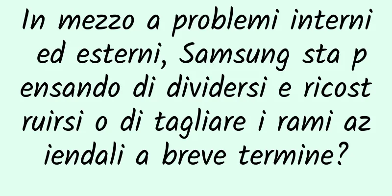 In mezzo a problemi interni ed esterni, Samsung sta pensando di dividersi e ricostruirsi o di tagliare i rami aziendali a breve termine?