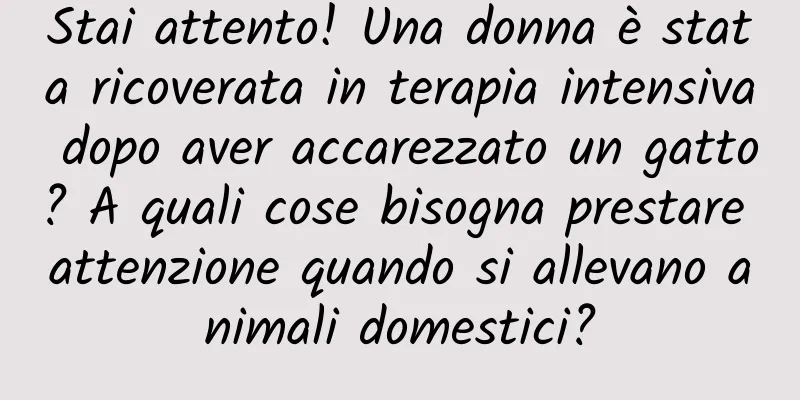 Stai attento! Una donna è stata ricoverata in terapia intensiva dopo aver accarezzato un gatto? A quali cose bisogna prestare attenzione quando si allevano animali domestici?