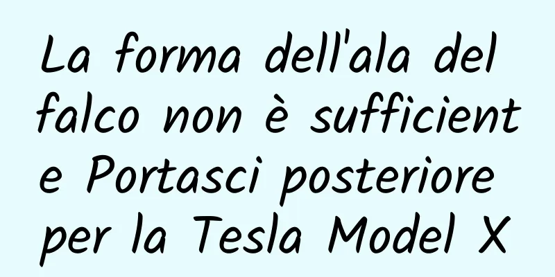 La forma dell'ala del falco non è sufficiente Portasci posteriore per la Tesla Model X