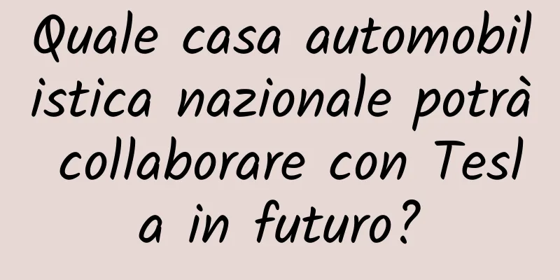 Quale casa automobilistica nazionale potrà collaborare con Tesla in futuro?
