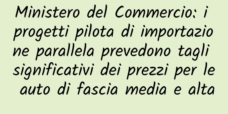 Ministero del Commercio: i progetti pilota di importazione parallela prevedono tagli significativi dei prezzi per le auto di fascia media e alta