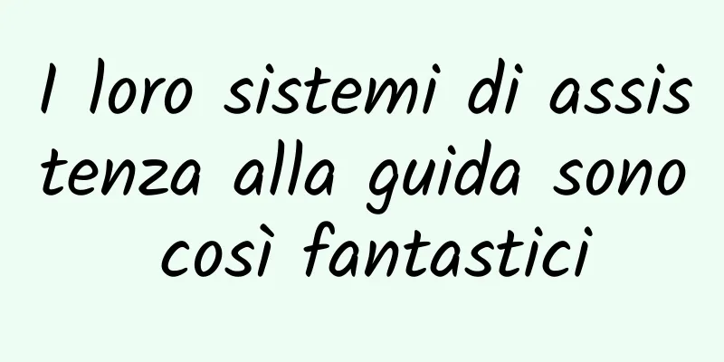 I loro sistemi di assistenza alla guida sono così fantastici