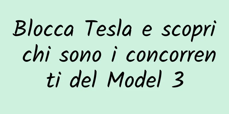 Blocca Tesla e scopri chi sono i concorrenti del Model 3