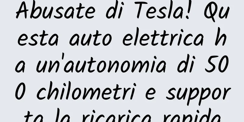 Abusate di Tesla! Questa auto elettrica ha un'autonomia di 500 chilometri e supporta la ricarica rapida