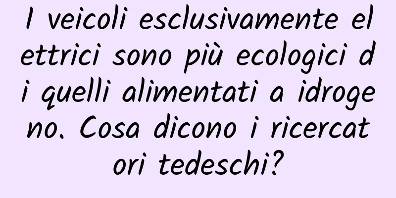 I veicoli esclusivamente elettrici sono più ecologici di quelli alimentati a idrogeno. Cosa dicono i ricercatori tedeschi?