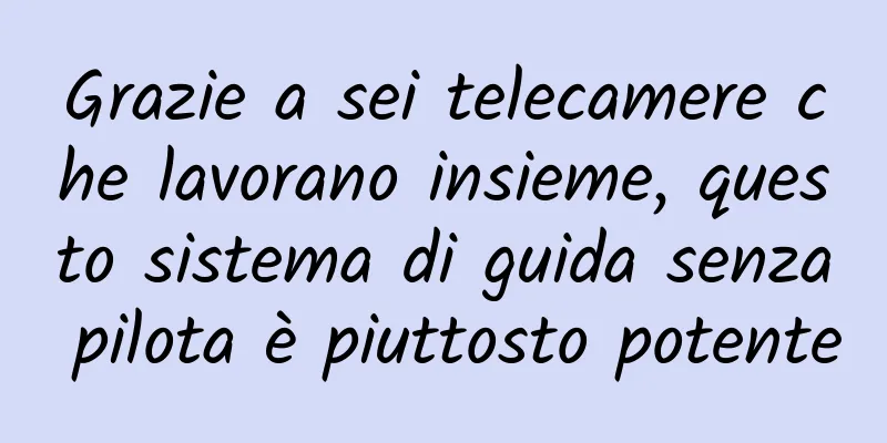 Grazie a sei telecamere che lavorano insieme, questo sistema di guida senza pilota è piuttosto potente