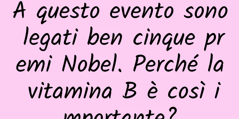 A questo evento sono legati ben cinque premi Nobel. Perché la vitamina B è così importante?