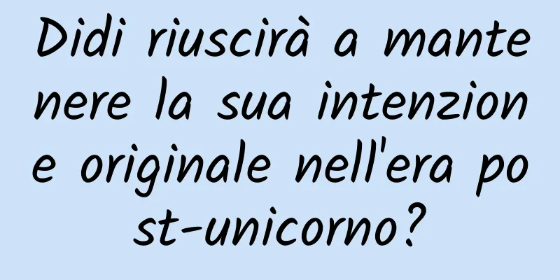 Didi riuscirà a mantenere la sua intenzione originale nell'era post-unicorno?