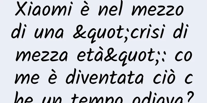 Xiaomi è nel mezzo di una "crisi di mezza età": come è diventata ciò che un tempo odiava?