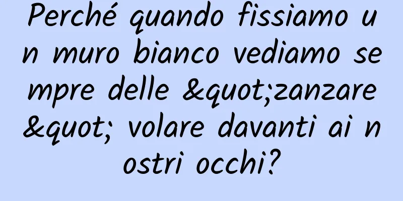 Perché quando fissiamo un muro bianco vediamo sempre delle "zanzare" volare davanti ai nostri occhi?