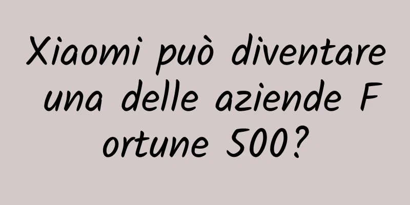 Xiaomi può diventare una delle aziende Fortune 500?