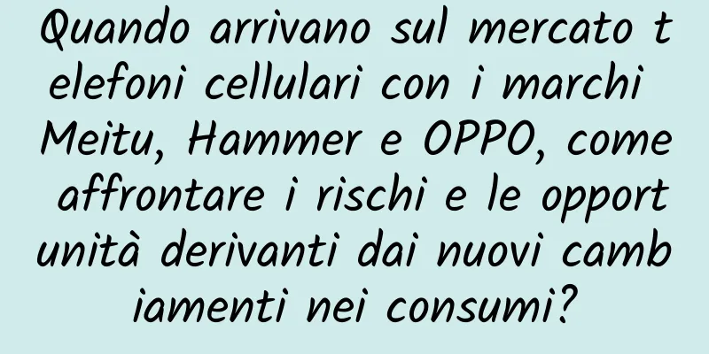 Quando arrivano sul mercato telefoni cellulari con i marchi Meitu, Hammer e OPPO, come affrontare i rischi e le opportunità derivanti dai nuovi cambiamenti nei consumi?